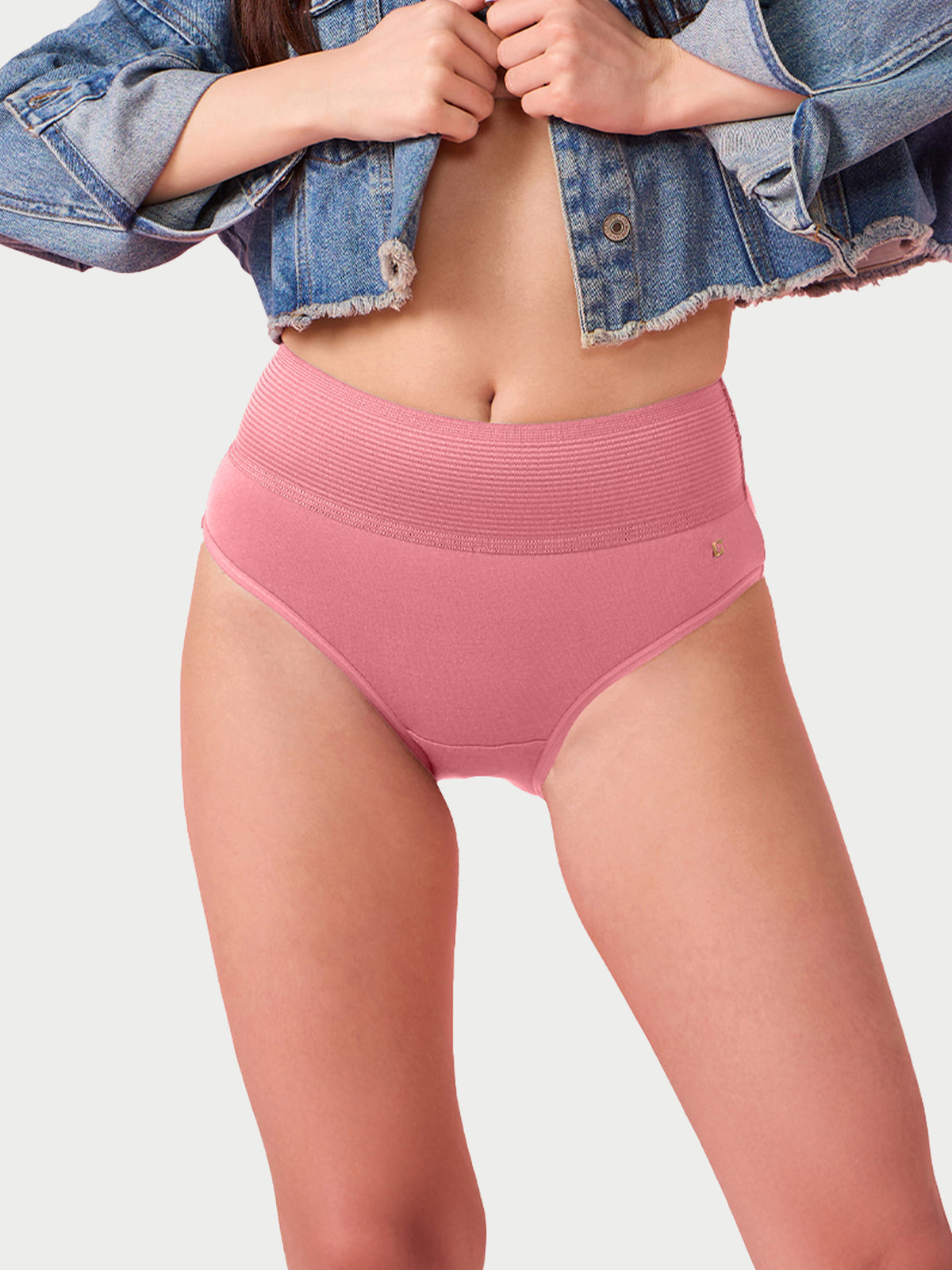 Enamor CW01 Cotton Classic, All Day Comfort, High Waist Brief - Breathable, Antimicrobial with Stain Release, Outer Brushed Wide Elastic, Full Coverage -  Pack of 1 (Strawberry Ice)