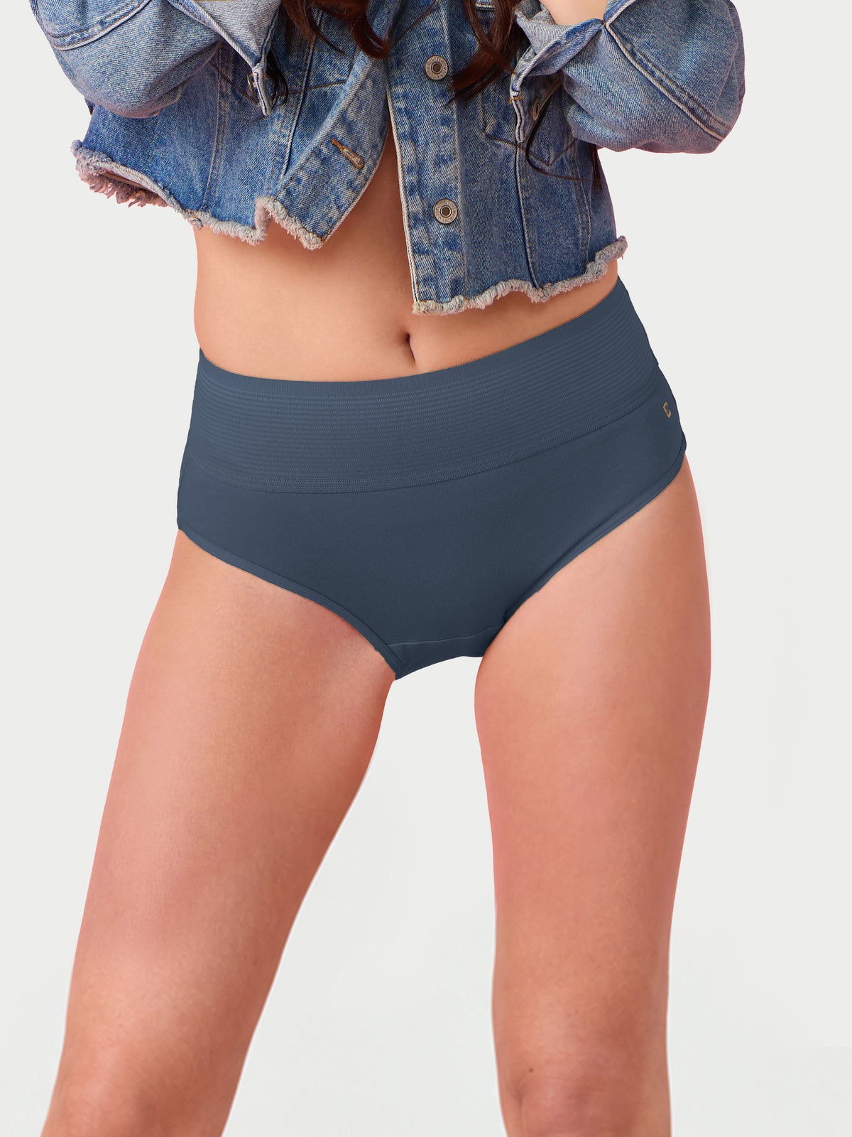 Enamor CW01 Cotton Classic, All Day Comfort, High Waist Brief - Breathable, Antimicrobial with Stain Release, Outer Brushed Wide Elastic, Full Coverage -  Pack of 1 (Orion Blue)