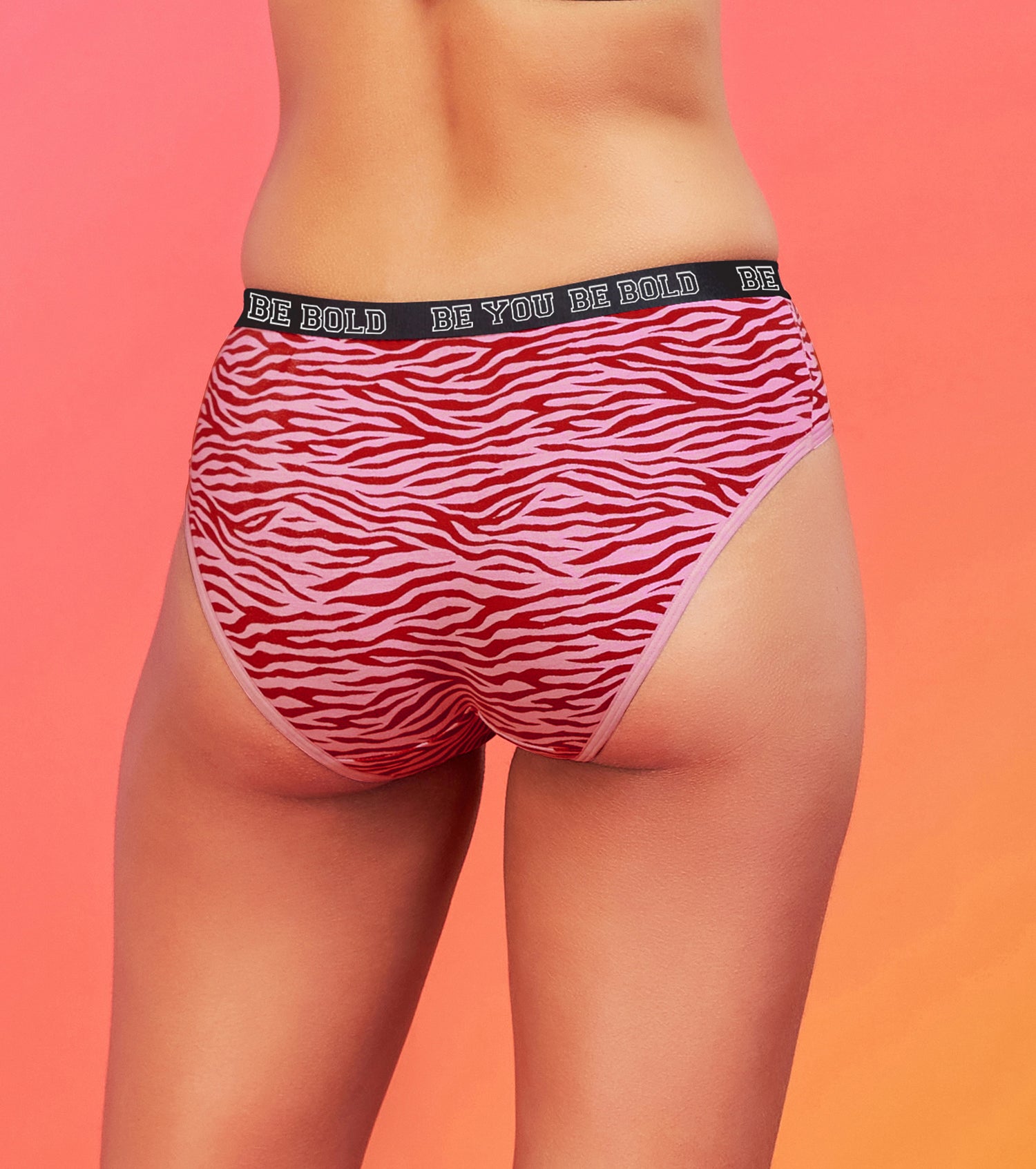 Enamor XO Mid-Rise Zebra Print Solid Hipster Panty - Sabrina