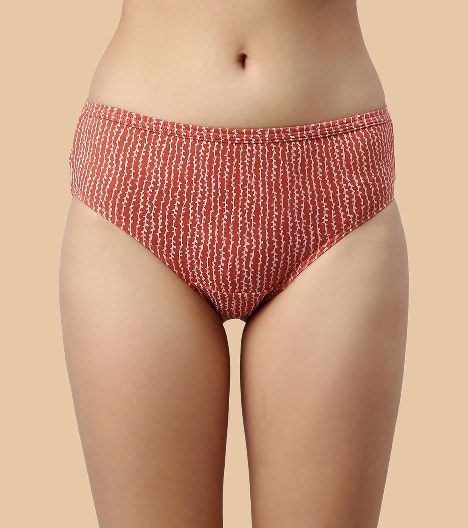 Enamor CH03-Cotton Classic Antimicrobial And Stain Release  Finish Hipster Panty-Pack of 5